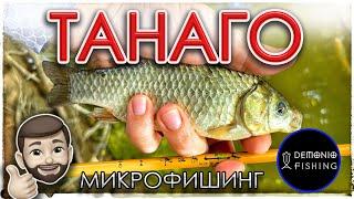 Танаго. МикроФишинг? Micro fishing