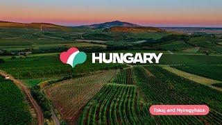 Virtual Trip around Hungary: Tokaj and Nyíregyháza, presented by Iván Ljubinkovic