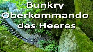 Bunkers of the German Land Forces Headquarter / Mamerki / Poland