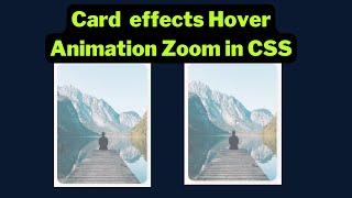 How to create card image zoom on hover Animation in CSS 2022