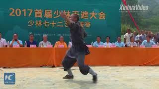 Shaolin monks wow visitors with animal-style kungfu