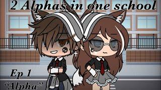 2 Alphas in One School || Ep 1: “Alpha” || Gacha Life series