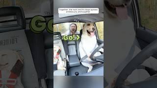 A man’s hilarious trip with his dogs amazed everyone