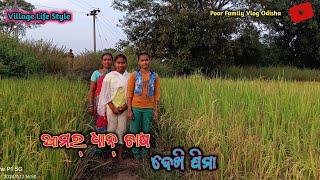 Village Life in Orissa || Odisha Family Vlog || Odisha Rural Village || @PoorFamilyVlogOdisha