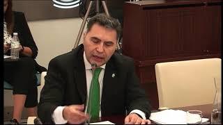 Comisión de Salud y Servicios Sociales 13/11/2024