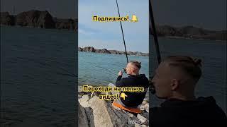 Крупный улов! #рыбалка #fishing #вобла #карп #рыбалка2024