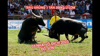 CHỌI TRÂU 2023 Full  GIẢI ĐẤU