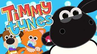 Let's Brush Our Teeth!  Timmy Tunes  Songs for Kids