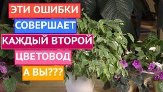 ОСНОВНЫЕ ОШИБКИ КОМНАТНОГО ЦВЕТОВОДСТВА!!!