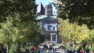 Get to know Montreal's universities