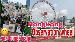 Wahana kincir di central || hongkong Observation wheel || tkw hongkong ||