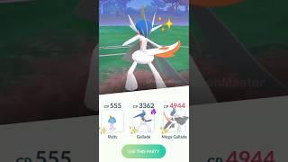  Shiny lvl 50 Mega Gallade family is INSANE (Pokemon GO)