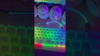 Unboxing my Christmas present 2025 Raimbow pom jelly keycaps