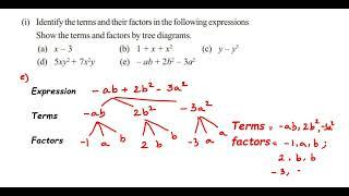 2q Ex 10.1 Algebraic expressions class 7 maths.Identify the terms and their factors.