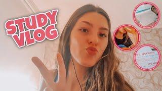 Study vlog em um dia tentando ser produtiva | Duda Brandino