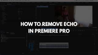 Reduce Echo in Premiere Pro with Parametric Equalizer