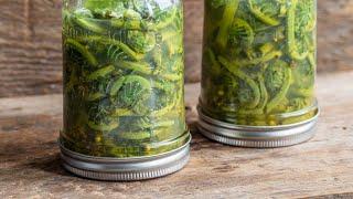 Crisp Fiddlehead Pickles