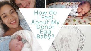 IVF Success: How I Feel about my Donor Egg Baby