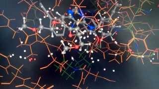 Molecular Docking (Conformer Search)