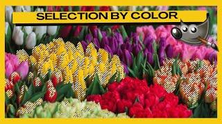 How to Select by Colors in GIMP