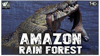 अमेज़न का जंगल का रहस्य आप को हैरान कर देगी | Amazon Rain Forest | World Documentary HD