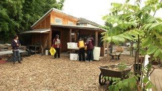 Empowering Communities: An Urban Farm's Unique Approach with Disabled Adults