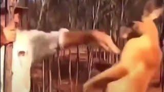 Never Try To Fight A Kangaroo ️