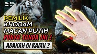 APABILA GEJALA INI TERJADI PADAMU , MUNGKIN ANDA PEMILIK KHODAM MACAN PUTIH  Anda Mengalami ?