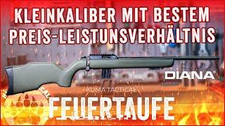 Viel Gewehr für wenig Geld - Diana R22 Kaliber .22 LR - Feuertaufe