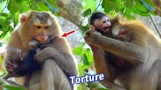 Bad monkey Bonita torture baby Jody seriously