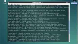 How to install MySQL Server on Debian System
