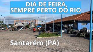 Um dia de feira em Santarém, junho de 2024, Mercadão 2000 e Feira do Pescado BORA!