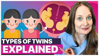 Everything You Need to Know About Twins (Types, Formation, Chances & Pregnancy Implications)