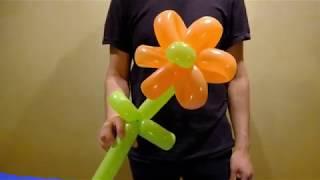 How to make a Balloon Flower - Balloon animal tutorial