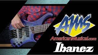 2020 Ibanez EHB1505 - American Musical Supply