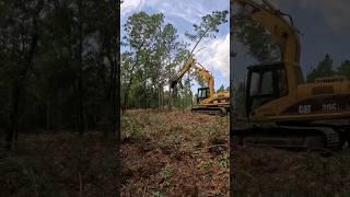 Land clearing #excavator #dirtwork #dirt #cgi #construction