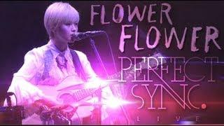 FLOWER FLOWER - Perfect Sync FULL CONCERT 2013611