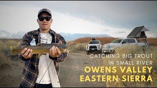 Must see Trout fishing in Paradise | Overlanding Car Camping in the Owens Valley of Eastern Sierra