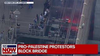 Pro-Palestinian protesters block traffic on Brooklyn Bridge | LiveNOW from FOX