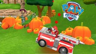 PAW Patrol Rescue World #249  The Pups are ready to go! Ride around Adventure Bay!