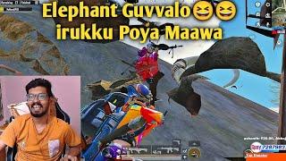 Vere Level Funny Elephant Glitch in PUBG Mobile