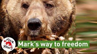 Mark's Way to Freedom