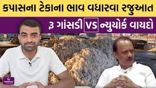 કપાસમાં ભાવની આગેકુચ | Kapas | Cotton | Agriscience