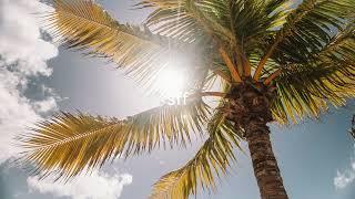 Nu, Jo.Ke - Who Loves The Sun (DSF Remix) played by Keinemusik in Tulum