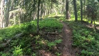 Mount Baldy via Domerie Divide Trail