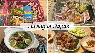 Japanese snacks, restock seasonings for Japanese cooking, Nikumaki Onigiri | japan vlog