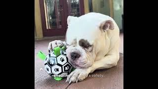 Pawsome™ Soccer Ball For Dogs - Must have for your pawsome dog!