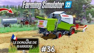 À FOND DANS LES ORGES !!!  Et une ÉNORME vente de Lait !!!  Le Domaine de Barrière  #36