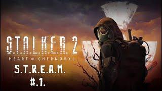 Ну наконец - то снова в зону / S.T.A.L.K.E.R. 2: Heart of Chornobyl