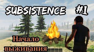 Начало выживания ( Subsistence  ) 2024